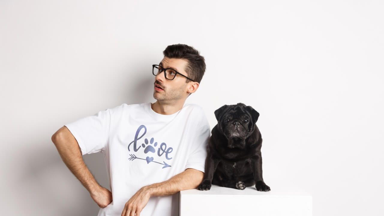 Pets