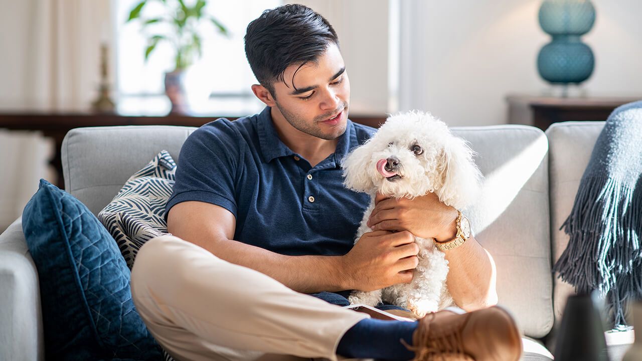Pet owners