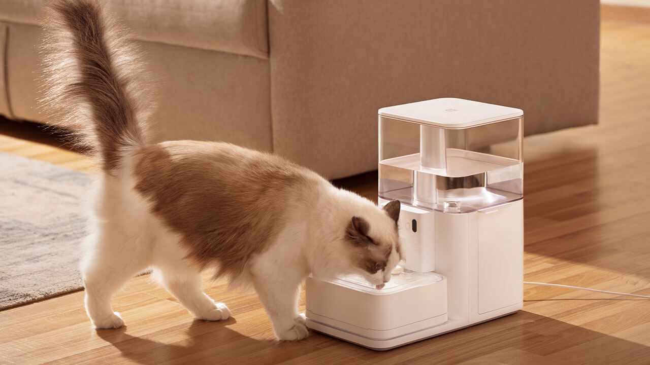 Pet tech gadgets