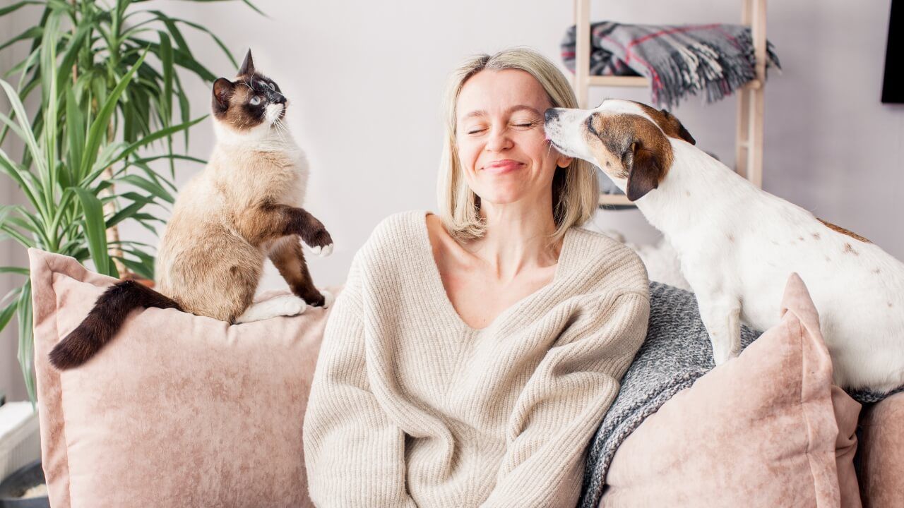 4Pet sitting and dog walking