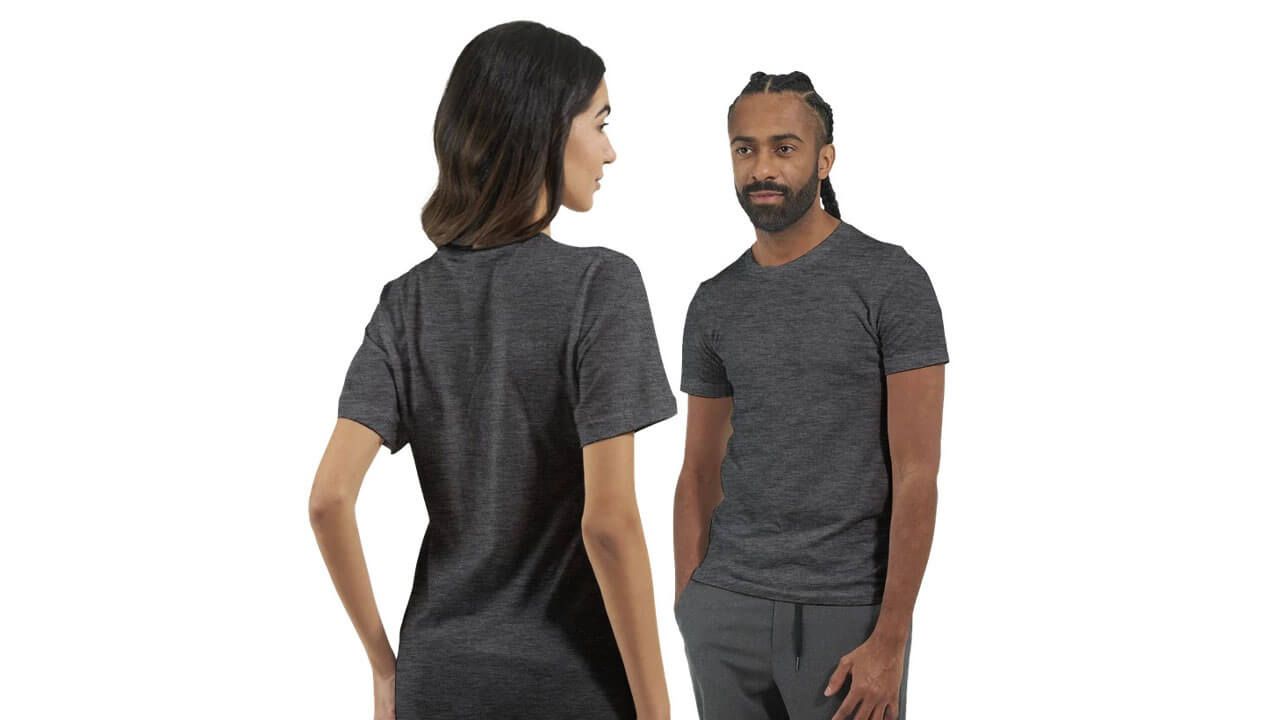 Bella Canvas 3001 shirt