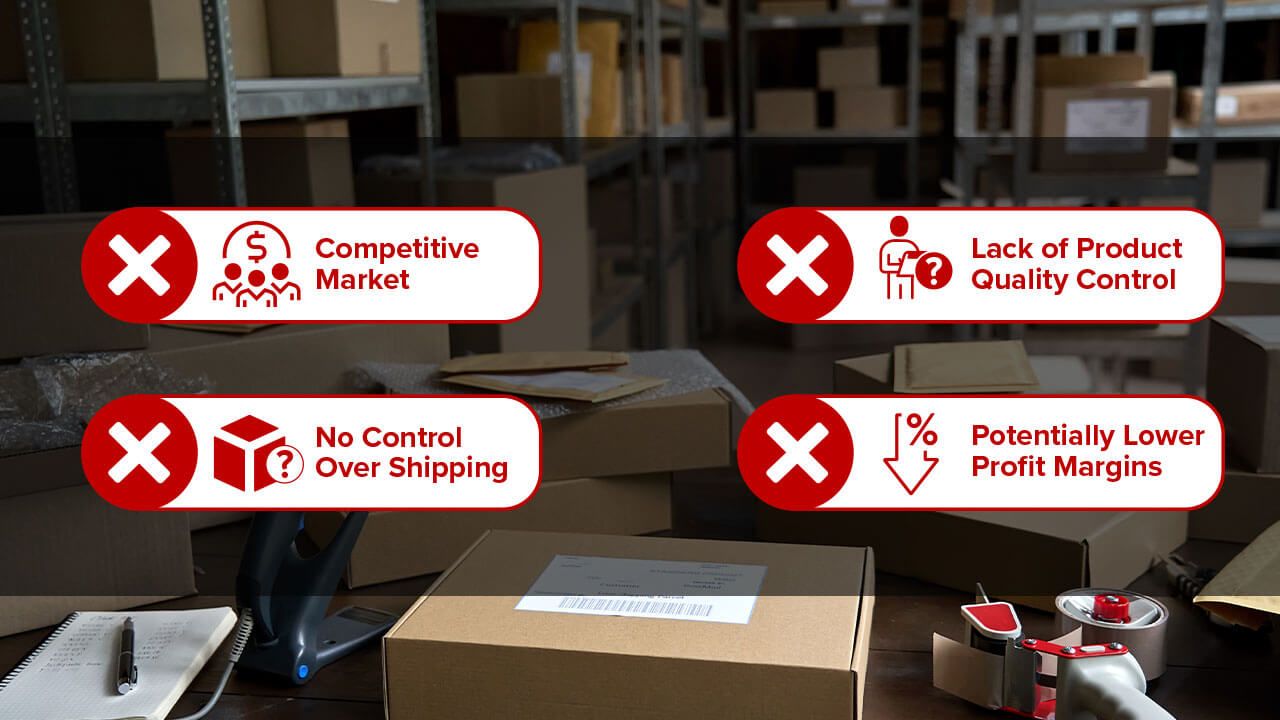 dropshipping disadvantages list