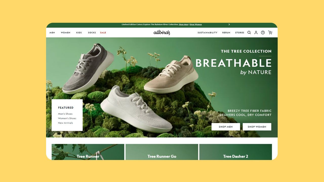 Screenshot of Allbirds fashion website
