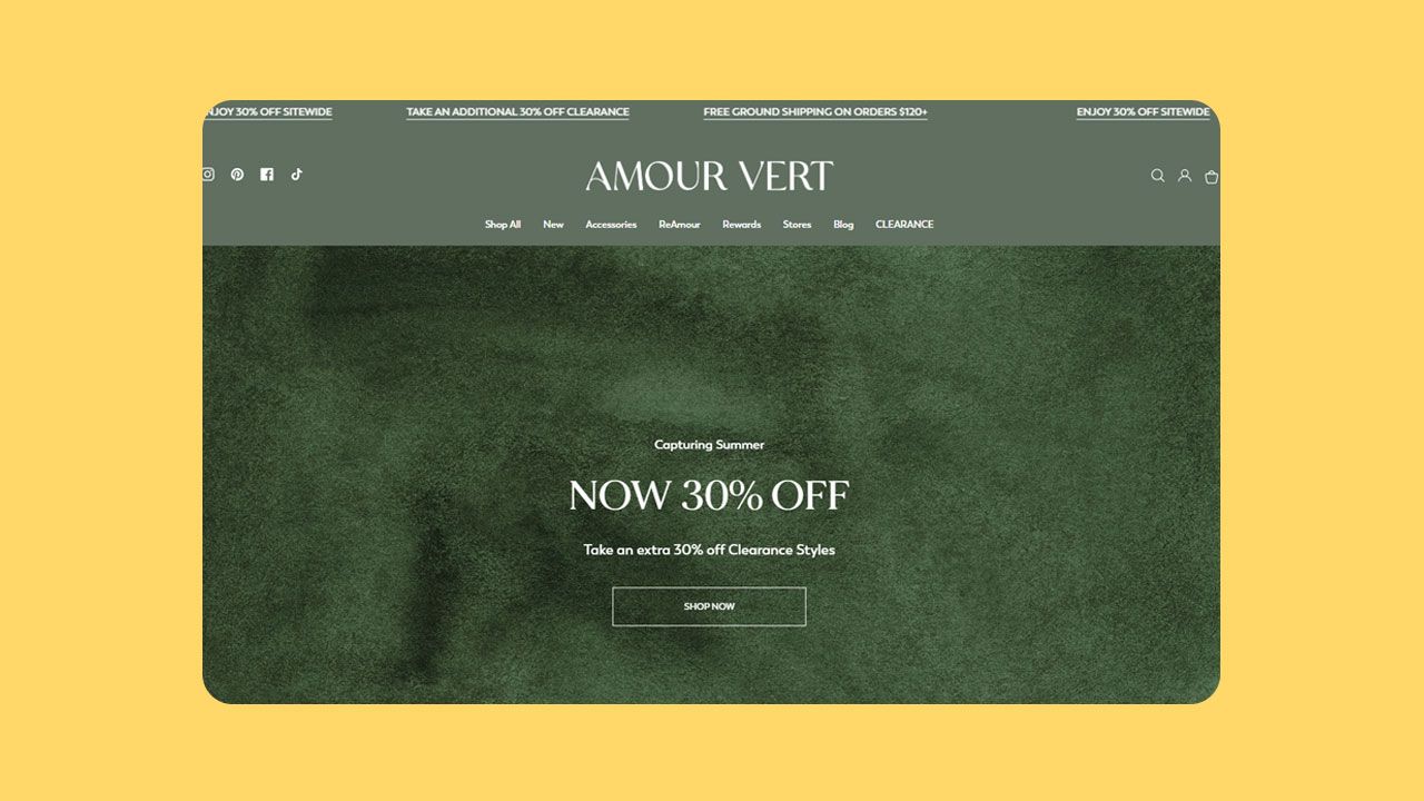 Screenshot of Amour Vert fashion website