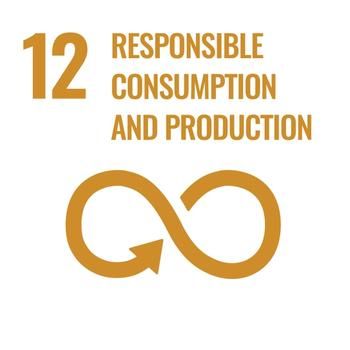 responsible consumption