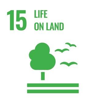 life on land