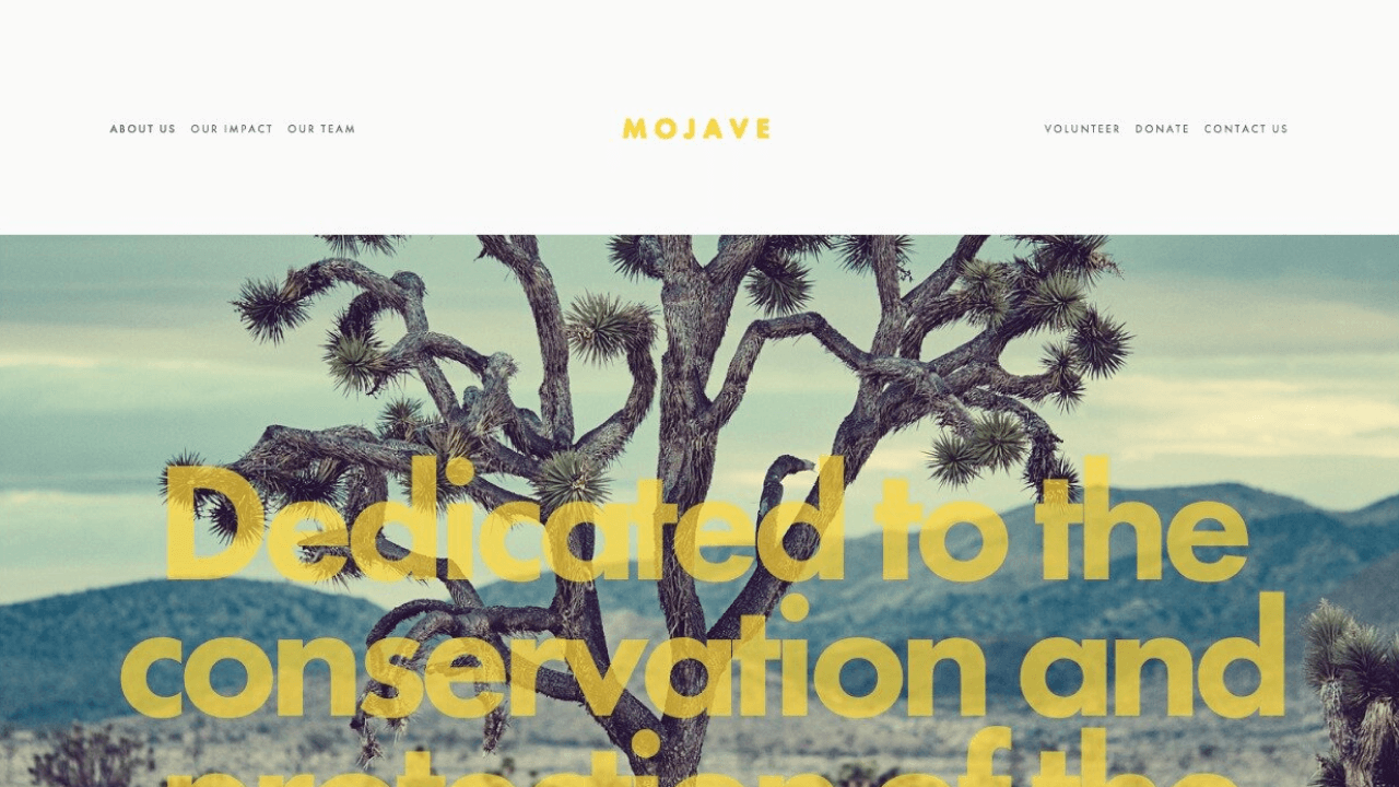 Mojave template